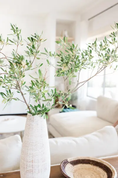 Photo d'un salon épuré